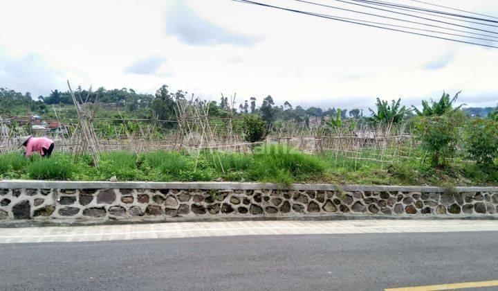 Jual Tanah Ciwidey Bandung Mainroad Jalan Raya Ciwidey 1