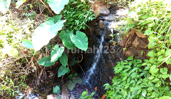 Tanah Dijual Dago Pakar Dekat Wisata Dago Lembang