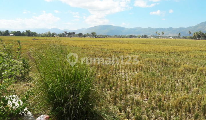 Land for Sale Near Toto Gorontalo Hospital, Outer Ring Road (GORR)