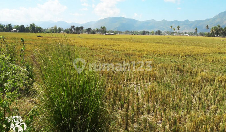 For Sale Land Near Toto Gorontalo Hospital Outer Ring Road (Gorr)