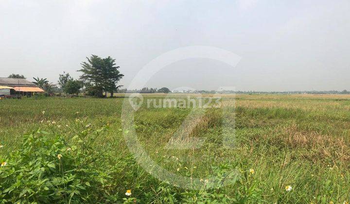 Dijual Edisi Tanah Kronjo Tangerang Hadap Utara 2