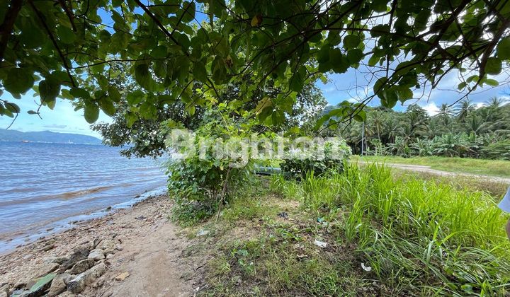 TANAH PINGGIR PANTAI MUTUN PESAWARAN BANDAR LAMPUNG TANAH PINGGIR PANTAI MUTUN PESAWARAN BANDAR LAMPUNG