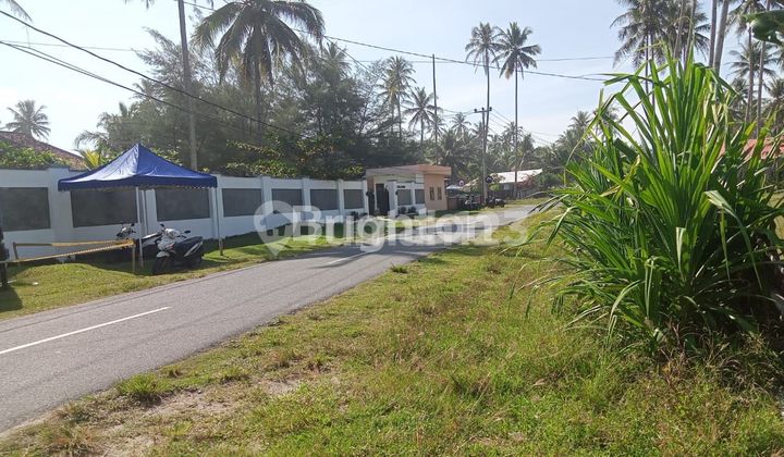 pantai krui pesisir barat pantai krui pesisir barat