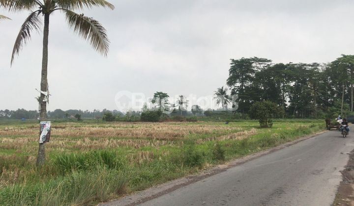 TANAH JATI AGUNG LAMPUNG SELATAN TANAH JATI AGUNG LAMPUNG SELATAN