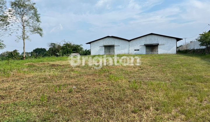 WAREHOUSE RENTAL CAMPANG SUKABUMI WAREHOUSE RENTAL CAMPANG SUKABUMI