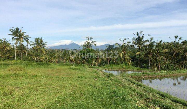 Large land suitable for building a hotel or resort, Shm, in Tegallang, Ubud 2