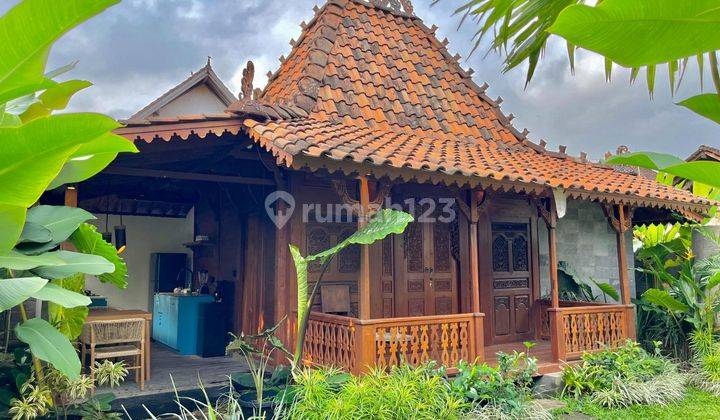 Minimalist Villa, Nice, Furnished, in Kedewatan, Gianyar 1