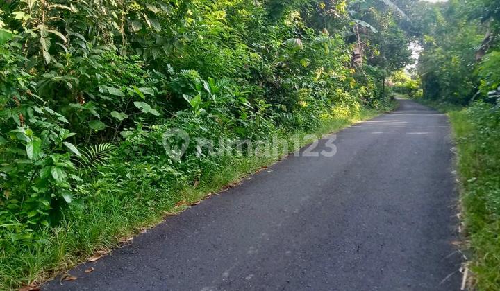 Good Land Suitable for Factory or Housing, Tabanan, Cheap Price Good Land Suitable for Factory or Housing, Tabanan, Cheap Price