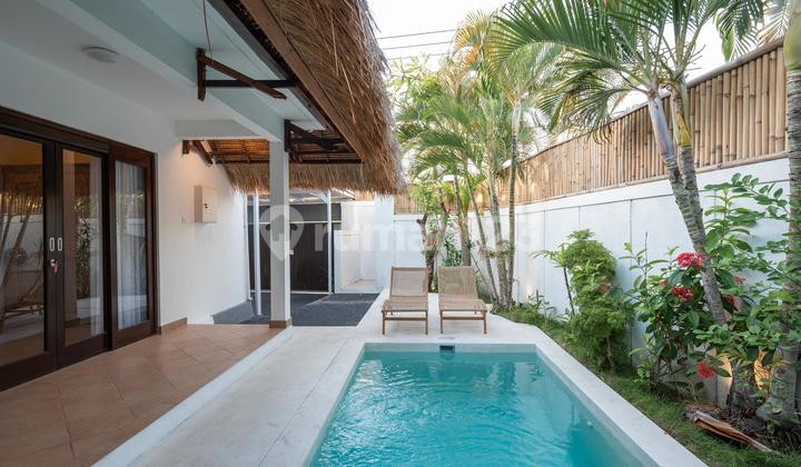Cozy Minimalist Villa in Seminyak, Available for Yearly Rent Near Kuta and Legian
