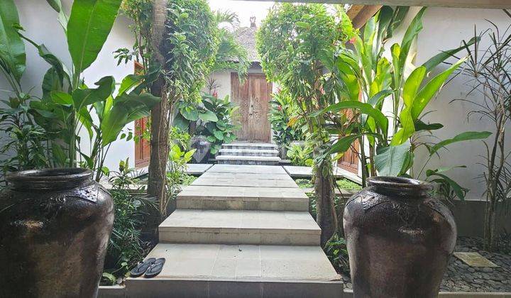 Beautiful 1 Floor Villa, Private Pool, For Rent Per Year, Kerobokan 1