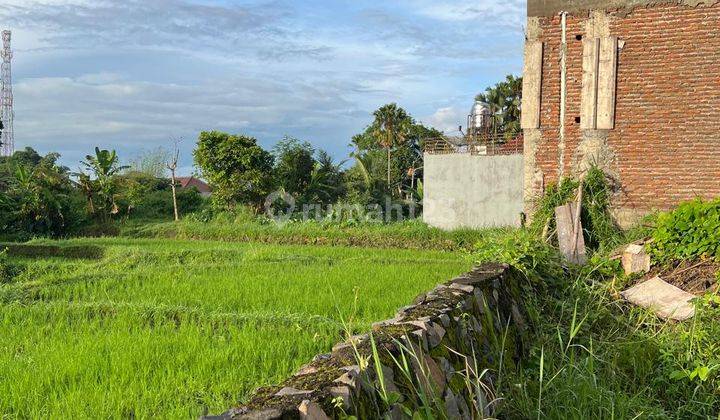 Tanah Strategis di Complex Perumahan Exclusive Sempusari, Kaliwates, Jember. 2