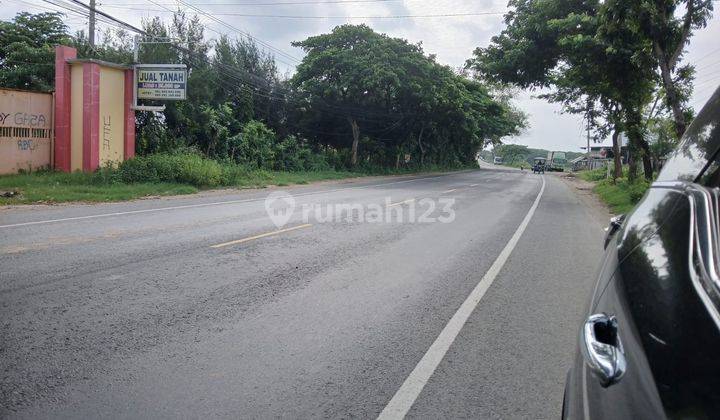 Tanah Strategis Pinggir Jalan di Tanjungan, Kragan, Rembang 2