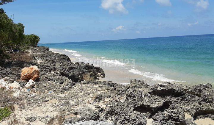 Dijual Tanah di Bibir Pantai Lambakara Timur Sumba Timur Ntt 1