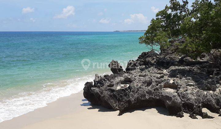 Dijual Tanah di Bibir Pantai Lambakara Timur Sumba Timur Ntt 2