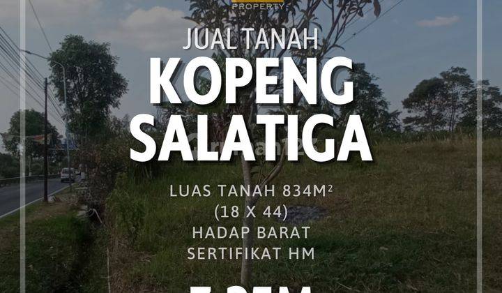 Tanah Murah Kopeng Salatiga Jalan Raya  1