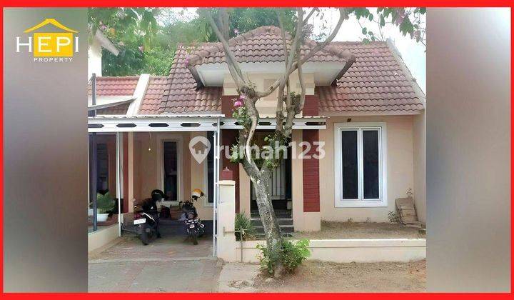 Rumah Harga Miring di Graha Taman Bunga Bsb City SHM 1