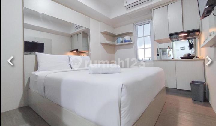 Fully Furnished Luxury Paltrow Near Undip 1