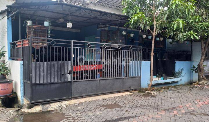 Rumah Tengah Kota Siap Huni Di Griya Arteri Baru Soekarno Hatta 1