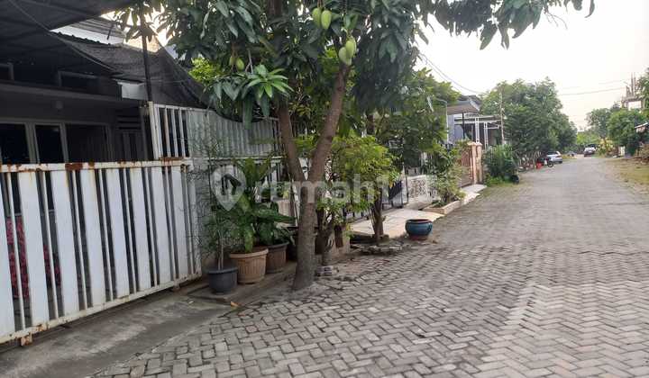 Siap Huni Jalan Lebar di Woltermonginsidi Cluster Bebas Banjir 2