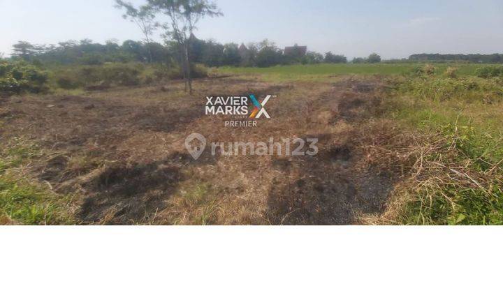 Tanah Akses Mudah Siap Bangun di Jl Bulutangkis Malang 1