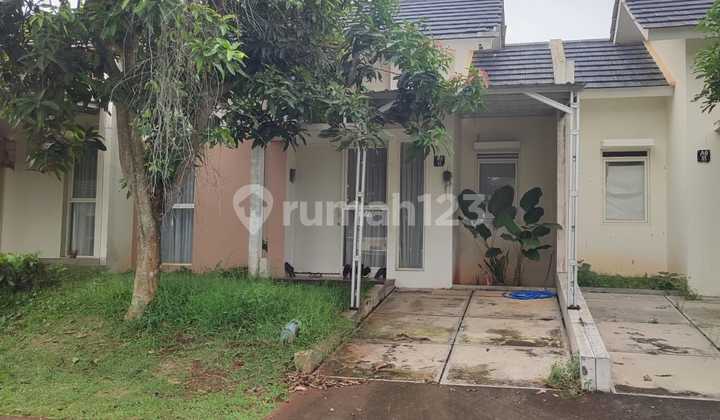 Disewakan murah rumah di Forest Hills 1