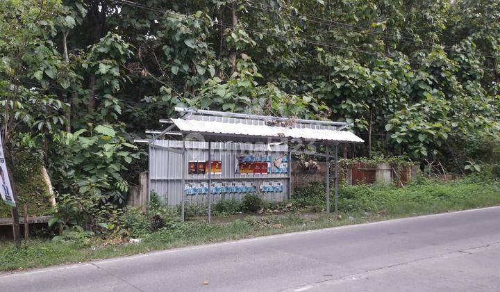 Tanah Murah Luas 5000m di Sendangmulyo Raya, Semarang 2