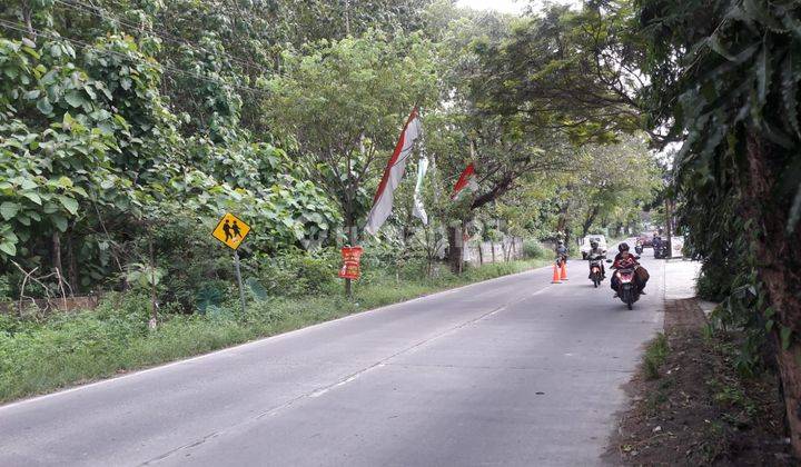 Tanah Murah Luas 5000m di Sendangmulyo Raya, Semarang 1