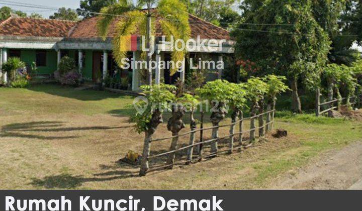 Dijual Tanah Bonus Rumah Di Wonosalam Demak 1