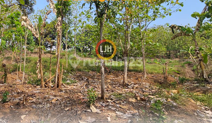 Tanah Siap Bangun di Ngaliyan Semarang  1