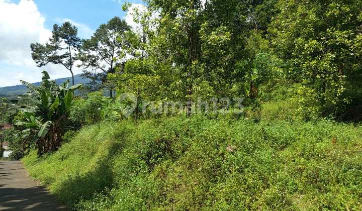 Dijual tanah luas di Brangkah,Nyatnyono, Ungaran 2