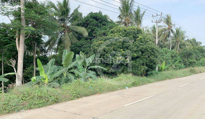 Dijual bu Tanah Daerah Anyer Dekat Pantai Batu Saung 5