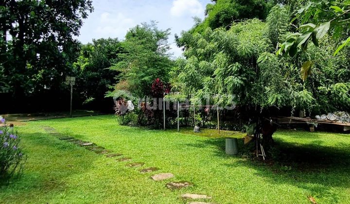 Rumah Bintaro Jaya Sektor 3 Tanah Sangat Luas Harga Murah Hitung Tanah Rumah Bintaro Jaya Sektor 3 Tanah Sangat Luas Harga Murah Hitung Tanah