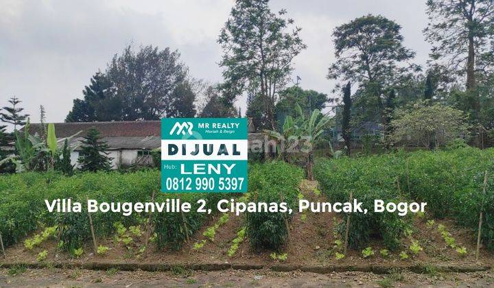 MURAH...KAVLING SIAP BANGUN DI VILLA BOUGENVILE 2, CIPANAS, PUNCAK, BOGOR 1