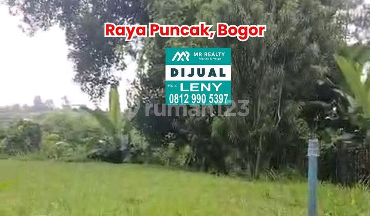 Land Calculation Villa on Raya Puncak, Bogor