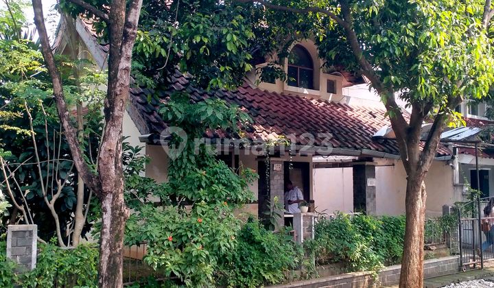 Want an old house that's cheap, just count the land price. Corner position. Just choose this unit, Anggrek Loka BSD. Can use KPR, already has certificate. Want an old house that's cheap, just count the land price. Corner position. Just choose this unit, Anggrek Loka BSD. Can use KPR, already has certificate.