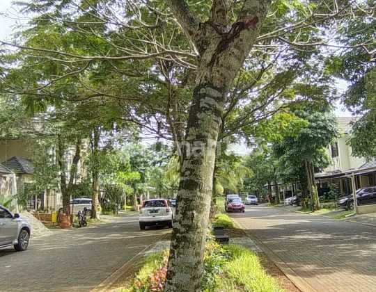 Affordable House Price at Avani, Negotiable. Maybe You're Interested. 2