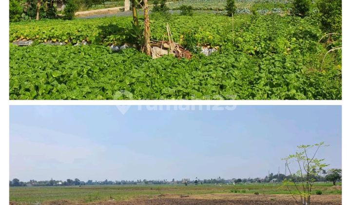 Dijual Tanah View Gunung Siap dibangun Surat SHM_ Lokasi di Ciherang