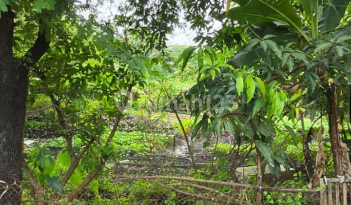 For Sale Land in Makassar Around Jalan Ir Sutami, Jl Kapasa Raya, Jl Kima Raya