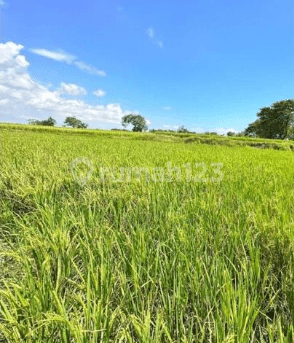 Dijual Tanah sekitar Galesong, Takalar 1