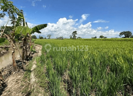 Dijual Tanah sekitar Galesong, Takalar 1
