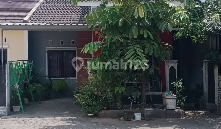 For Sale House Around Pallangga Main Road, Gowa 1