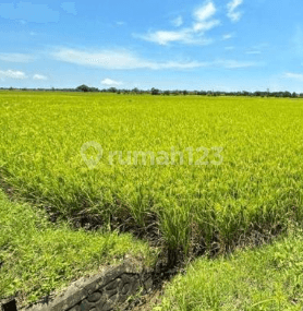 Dijual Tanah sekitar Galesong, Takalar 1
