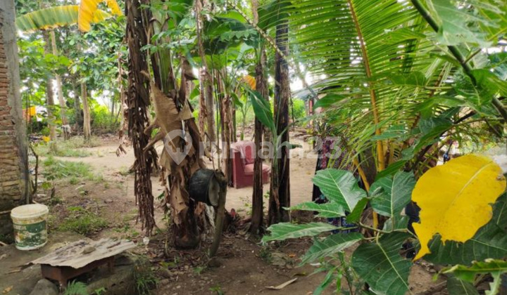 Land for Sale around Bontonompo Main Road, Gowa Land for Sale around Bontonompo Main Road, Gowa