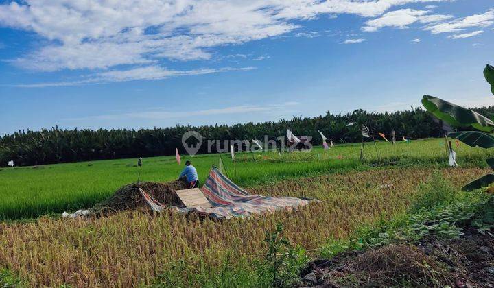 Tanah di Sekitar Btp, Jl Perintis Kemerdekaan
, Makassar 2