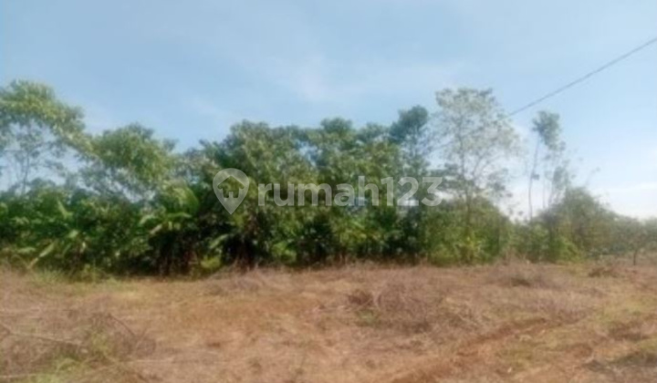 Dijual Tanah sekitar Jalan Poros Kariango, Maros  