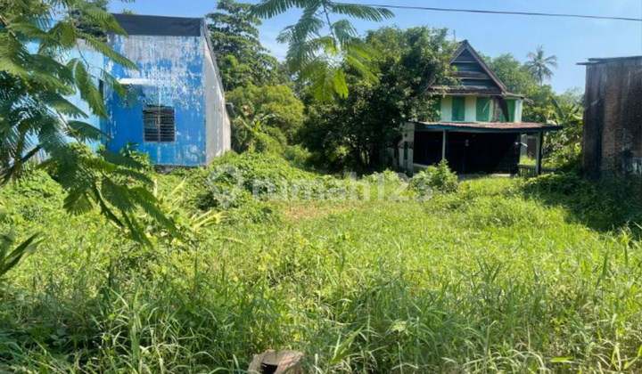 Land for Sale around Barombong Main Road, Gowa Land for Sale around Barombong Main Road, Gowa