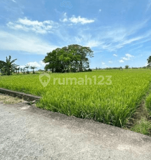 Dijual Tanah sekitar Galesong, Takalar 1