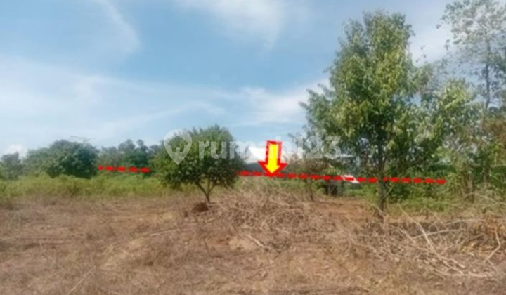 Dijual Tanah sekitar Jalan Poros Kariango, Maros  