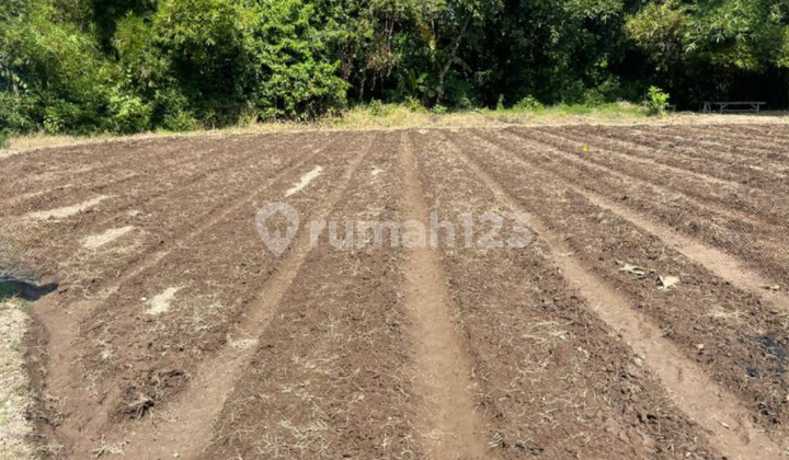 Land for Sale around Barombong Main Road, Gowa Land for Sale around Barombong Main Road, Gowa
