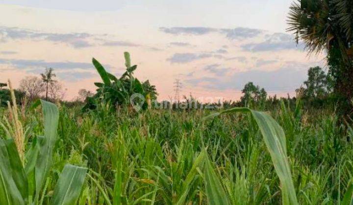 Dijual Tanah Makassar sekitar jl Perintis Kemerdekaan, Unhas 1